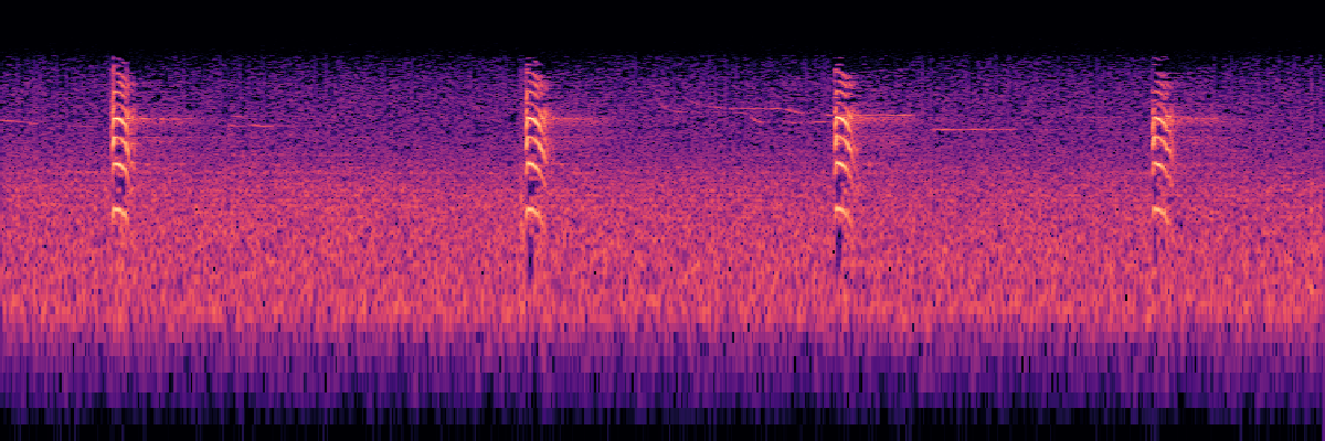 Spectrogram: Collared Pika short cut